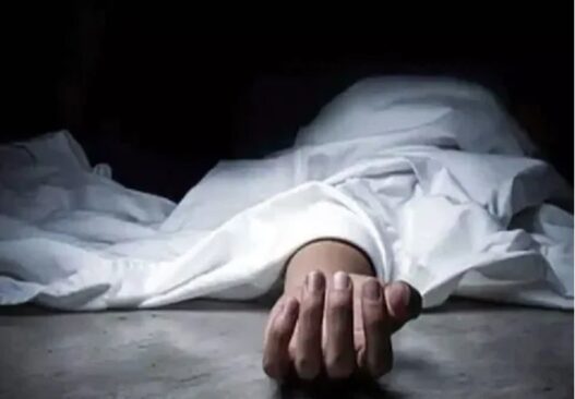 Another Shraddha Walker murder case? Woman's body found in pieces in Delhi