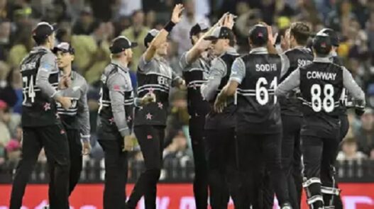 T20 WORLD CUP