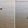 boat accident in Bihar