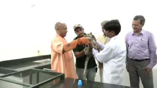 सीएम योगी