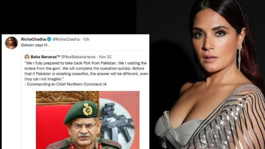 Richa Chadha controversial tweet on the army
