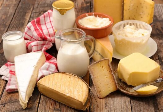 dairy products