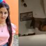Ankita Bhandari murder