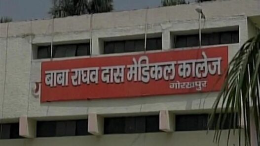 BRD Medical College