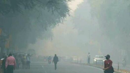 Cold in North India