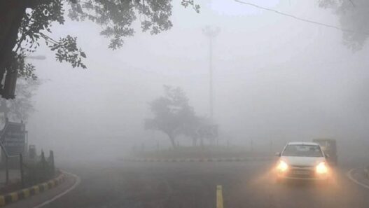 Cold wave in North India