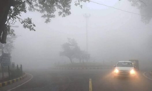 Cold wave in North India