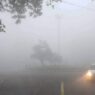 Cold wave in North India