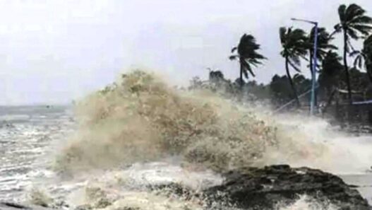 Chennai: Cyclone Mandous wreaks havoc, four killed; large number of uprooted trees