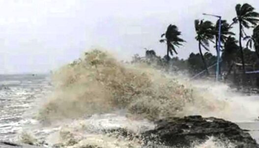 Chennai: Cyclone Mandous wreaks havoc, four killed; large number of uprooted trees