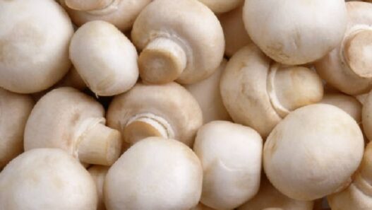Mushroom soup