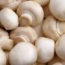 Mushroom soup