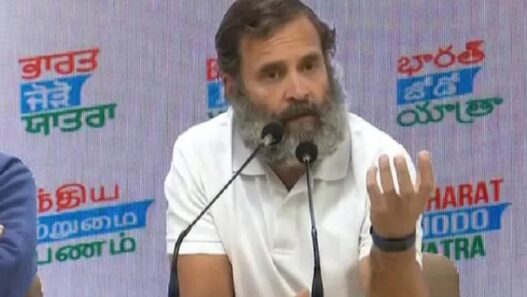 Rahul Gandhi bharat jodo yatra in delhi02