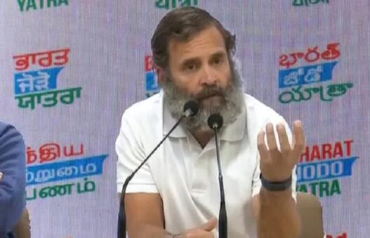 Rahul Gandhi bharat jodo yatra in delhi02