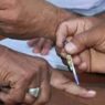local body elections in UP