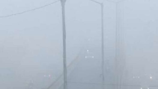 Cold wave and fog in North India