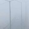 Cold wave and fog in North India