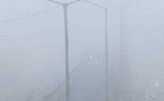 Cold wave and fog in North India