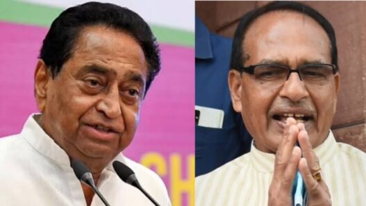 Counting of 19 urban bodies completed in MP