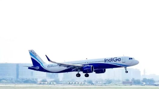 ruckus in Indigo flight