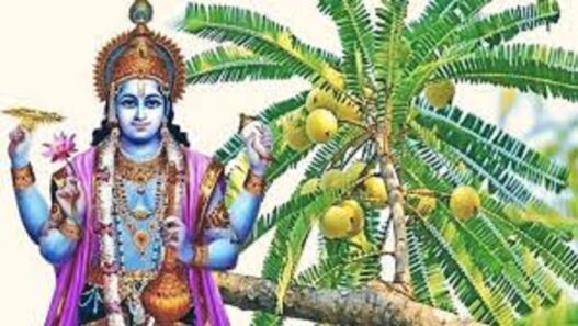 Amalaki Ekadashi