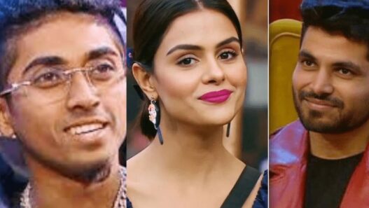 Bigg Boss 16 Journey of contestants shown