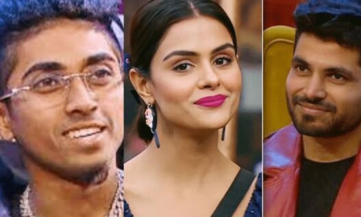 Bigg Boss 16 Journey of contestants shown