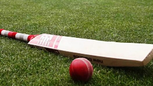 Cricket tournament will be held in Jamshedpur