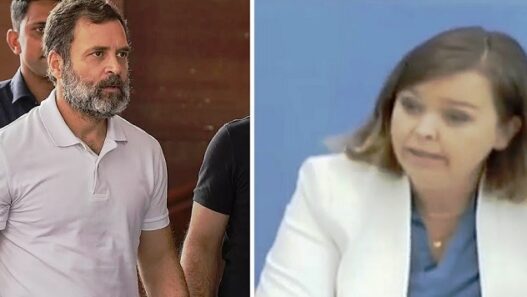 German government reaction on Rahul Gandhi case