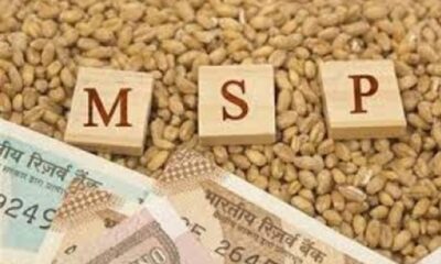 Yogi government will buy Mustard, gram and lentils on increased MSP