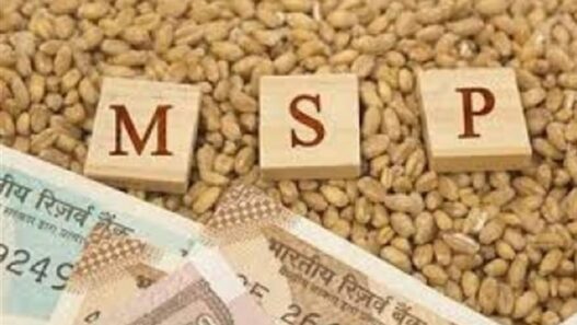 Yogi government will buy Mustard, gram and lentils on increased MSP