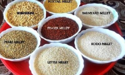 promotion of millets