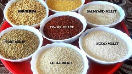 promotion of millets