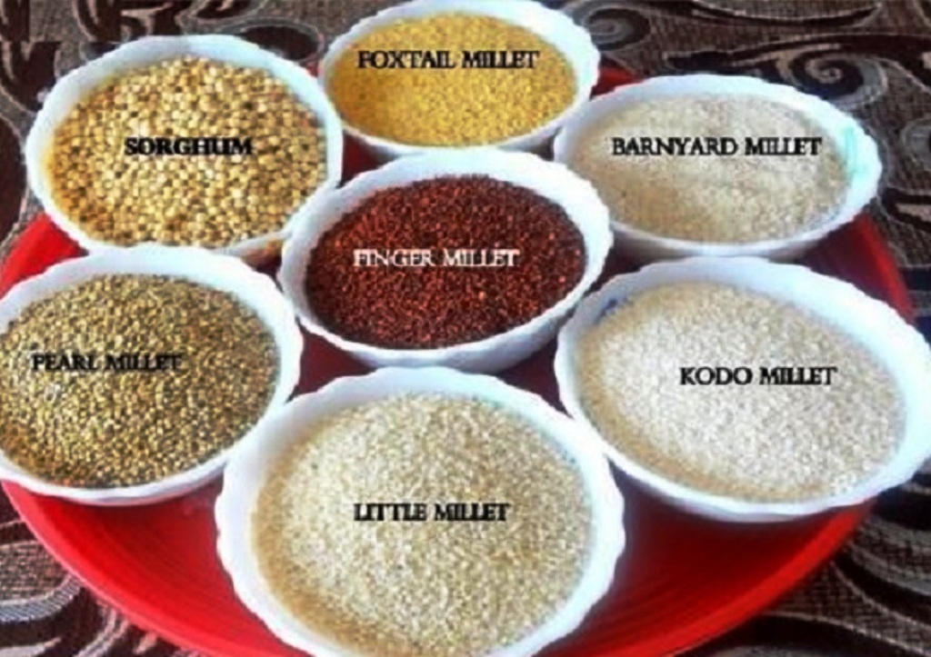 promotion of millets