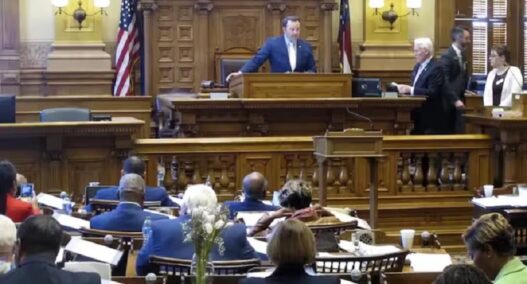 America Georgia Assembly passes resolution
