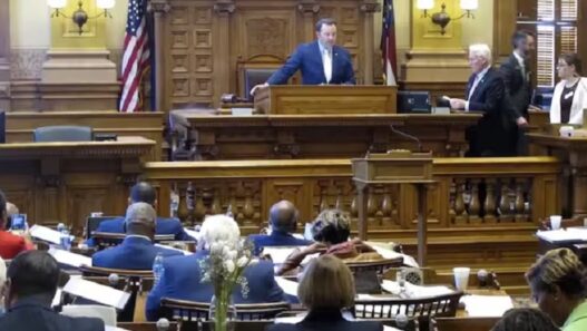 America Georgia Assembly passes resolution
