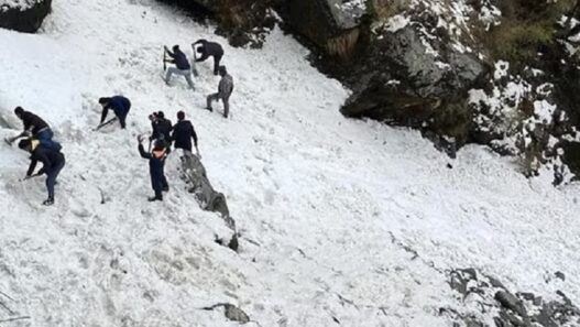Avalanche hits Sikkim Nathula area