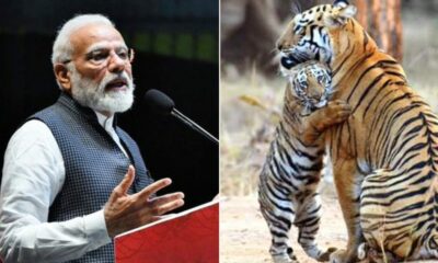 India saved the tiger says PM Modi