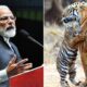 India saved the tiger says PM Modi