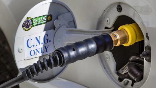 Price of PNG and CNG will be reduced by 10 percent