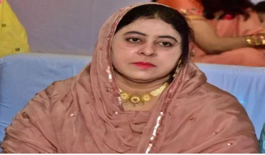 Shaista Parveen declared mafia
