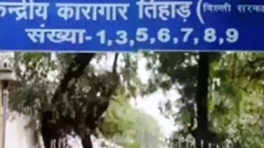 Bloody game again in Tihar Jail