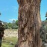 Encounter between jawans and Naxalites in Chhattisgarh
