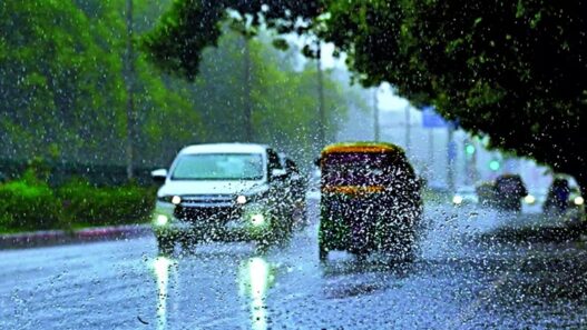 Meteorological Department told Monsoon will be normal this year