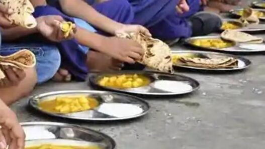 Snake found in mid day meal in Araria