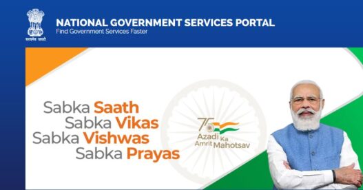 government portal all in one