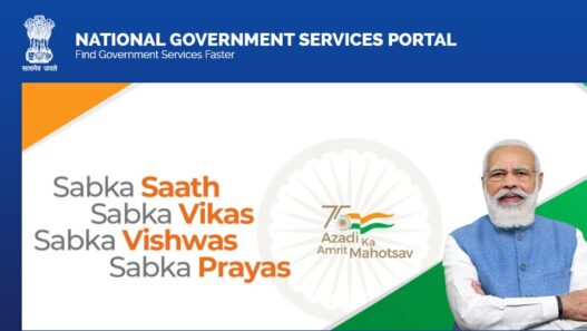 government portal all in one
