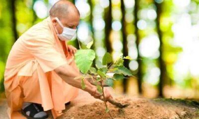 CM Yogi Adityanath Plantation