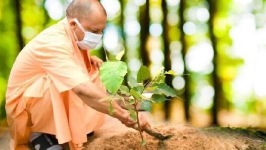 CM Yogi Adityanath Plantation