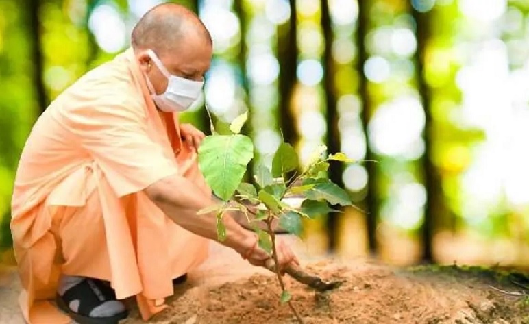 CM Yogi Adityanath Plantation